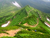 高山に登れるツアーも